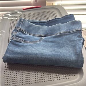 Lane Bryant Denim Jeggings